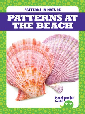 cover image of Patterns at the Beach